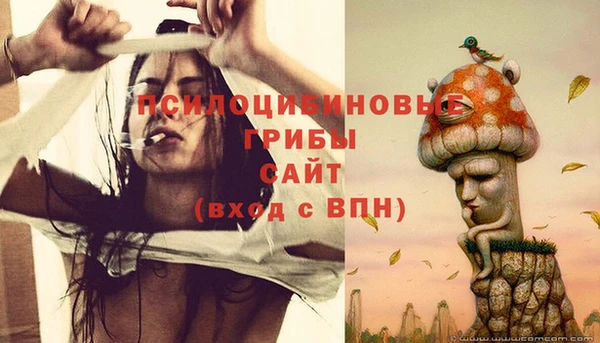 ГАЛЛЮЦИНОГЕННЫЕ ГРИБЫ Надым