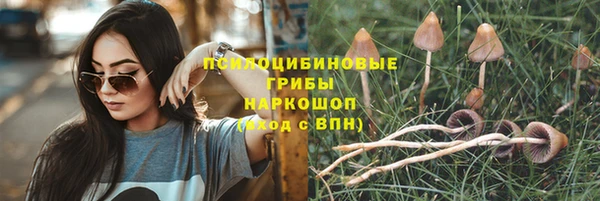 ГАЛЛЮЦИНОГЕННЫЕ ГРИБЫ Надым