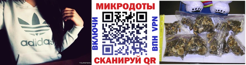 цена наркотик  Королёв  Галлюциногенные грибы Psilocybine cubensis 